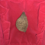 Kuber Mani