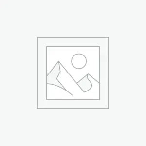 Vastu statue